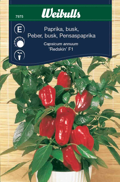 Buskpaprika "Redskin F1"